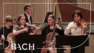 Concerto pour 2 violons