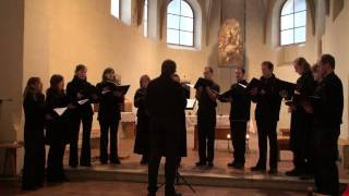 Quatre Motets pour un Temps de Penitence - II Vinea mea electa