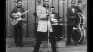 Hound Dog