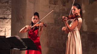 Sonata for two violins