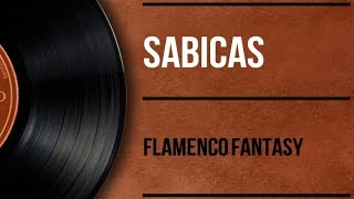 Flamenco Fantasy