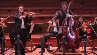 Gran duo concertante