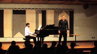 Dichterliebe Op.48  (Amor de poeta)