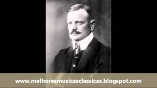 The Best of Sibelius