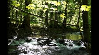Piano Solo Works Op 3, 9, 5