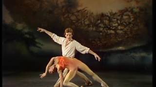 The Firebird
