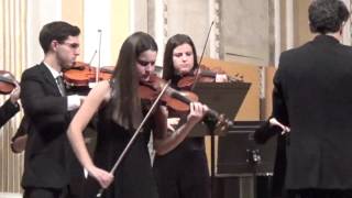 Concierto para violín en La menor D 113