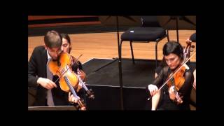 Double viola concerto