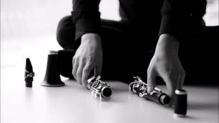Concerto doppio for two clarinets - II Concerto buffo
