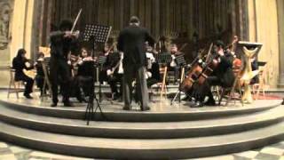 Concerto For Violin And String Orchestra (Distant Light)