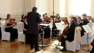 Suite for String Orchestra