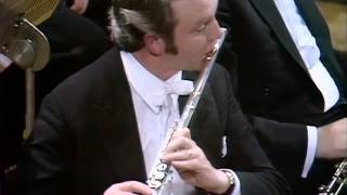 Symphony No. 8 in D Minor