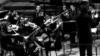 Concerto Elegíaco (para guitarra y orquesta)