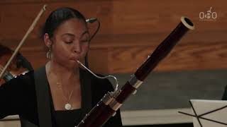 Bassoon Concerto in E minor, RV 484