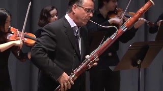 Bassoon Concerto in g minor, RV 495