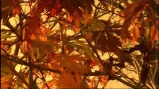 Autumn The Four Seasons