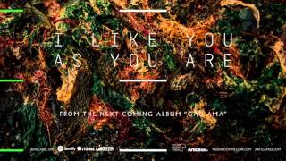 I like you as you are
