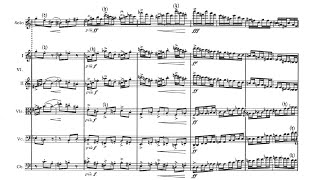 Violin Concerto