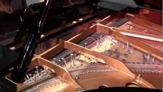 Sonatas and Interludes - Sonata V