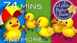 Five Little Ducks. Compilation