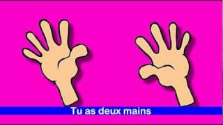 Les parties du corps