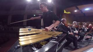 Concerto pour Vibraphone et Orchestre à Cordes