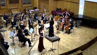 Concerto No. 7 in E minor, for flute and orchestra