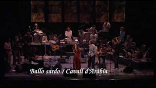 Ballo Sardo / Cavall D'Aràbia