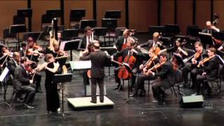 Flute Concerto