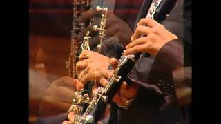 Concierto Nº 1  para clarinete y corno di bassetto