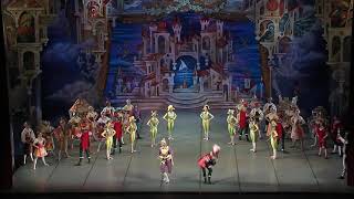 Cipollino Ballet