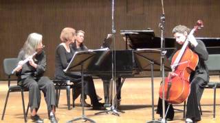 Haydn, Trio in D, flue cello & piano
