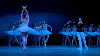 Swan Lake - Act II Love Duet,