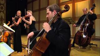 Brandenburg Concertos (1 - 6)