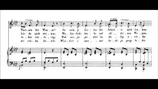 17 Polish Songs, op.74