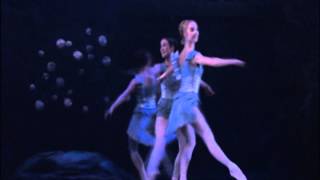 Sylvia variation act 1
