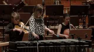 Concerto Pour Vibraphone et Orchestre a Cordes