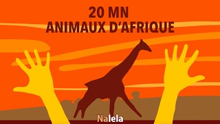 Animaux d'Afrique