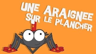 Une Araignée sur le plancher