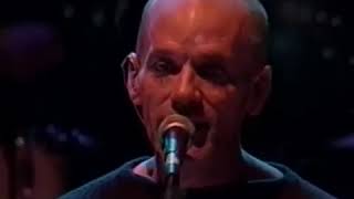 Bridge School Benefit Concert