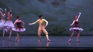 Cipollino Ballet, 