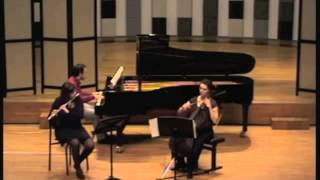 Fantasia Concertante op. 256