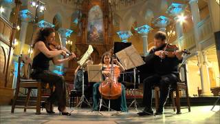 Piano Quartet E flat major KV 493, I Allegro