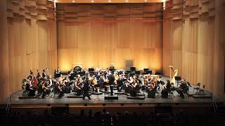 Violin Concerto op.40