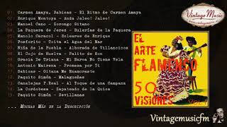 50 Visiones del Arte Flamenco
