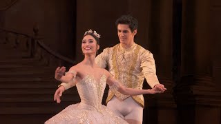 Grand pas de deux from Act 3 of the Sleeping Beauty