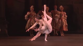 Sleeping Beauty Act III Grand Pas de Deux