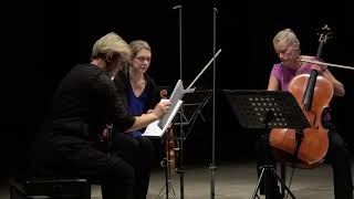 Streichtrio