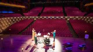 Lunchbreak concert in de Doelen