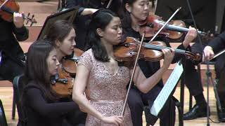 Violin Concerto in D Major, Op. 61, 1st movement